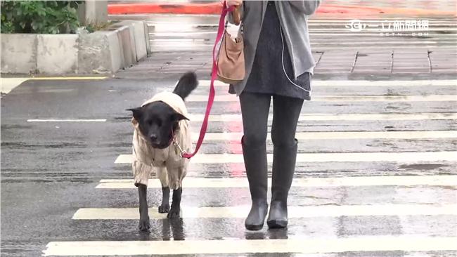 愛穿時尚雨靴？小心妳也悶出香港腳