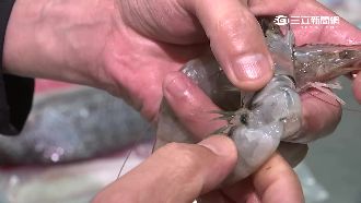 專家公開祕訣　教你辨識海鮮新鮮度