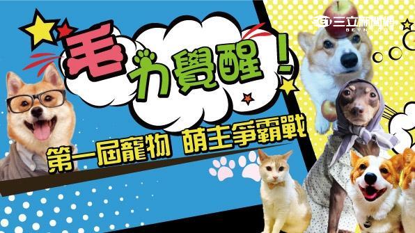 爭奪最Q「萌主」！寵物明星拼人氣