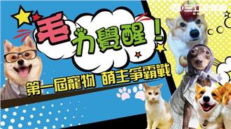 爭奪最Q「萌主」！寵物明星拼人氣