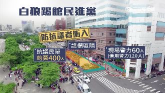 白狼率眾嗆新政府　遭爆五百元走路工