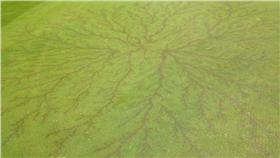 ▲氣象局氣象預報中心主任鄭明典在臉書分享 U.S. National Weather Service (NWS) 的相片（圖／翻攝U.S. National Weather Service (NWS)）