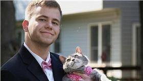 愛貓,圖／翻攝自PinkNews