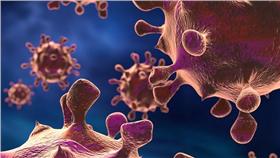 細菌／flickr.cc
https://www.flickr.com/photos/138248475@N03/23431045590