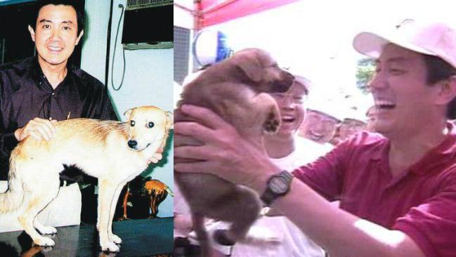 拿特別費養馬小九　馬英九獲不起訴