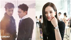 霍建華,林心如,胡歌