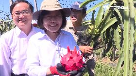 w火龍果開花0600