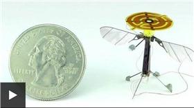 蜜蜂飛行器　（圖／翻攝自BBC）