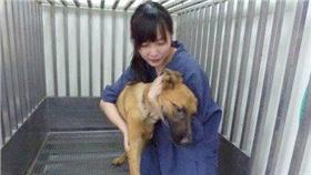 桃園,動物,收容所,簡稚澄,安樂死,流浪動物,浪浪（議員王浩宇臉書）