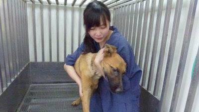 獸醫師死諫　農委會：投入19億改善