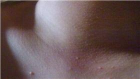 圖／蘭姆酒吐司提供