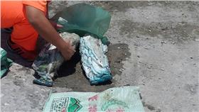 龍王鯛/
海巡台東服務中心臉書