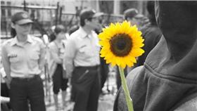 太陽花學運,318學運,318,太陽花,學運,林飛帆,陳為廷
圖／記者林敬旻攝