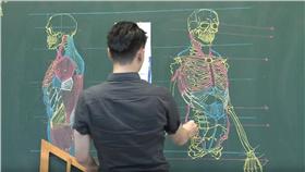 黑板畫人體骨骼 （圖／翻攝自鍾全斌 OB Illustration臉書）