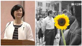 羅瑩雪談太陽花學運（合成圖／記者盧素梅、林敬旻攝影）