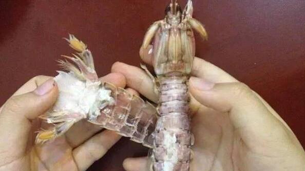 國三女發明剝蝦神器　2秒就能吃到肉
