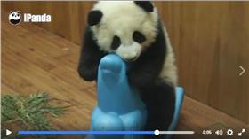 熊貓,CCTV,點閱率/CCTV臉書