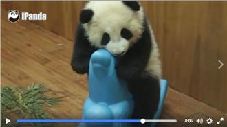 「一天一熊貓」陸官媒臉書超越CNN