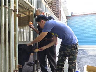 神秘組織出沒　竟控制世界糧食