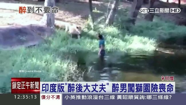 想跟獅子握手、唱歌　醉男闖進猛獸區