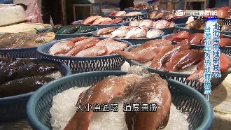 魚資源銳減　台灣30年內恐成無魚島