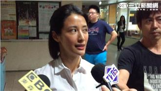 開車撞傷騎士　李蒨蓉71萬元和解