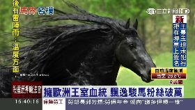 w最帥飄逸馬1600