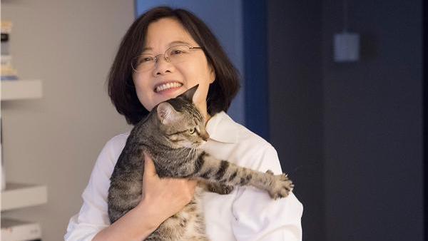 走私貓爭議！小英臉書引上萬網友論戰