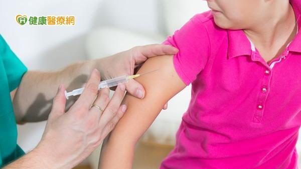 日本腦炎現蹤　疫苗保護力存疑？