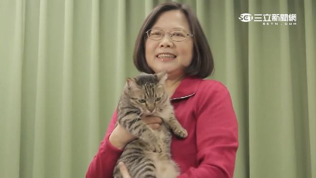 何時搬官邸？小英：安頓好3隻狗才搬