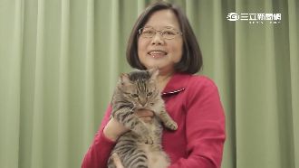 何時搬官邸？小英：安頓好3隻狗才搬