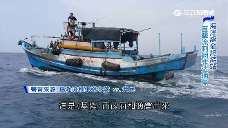海中死亡之牆　流刺網捕魚殺無赦