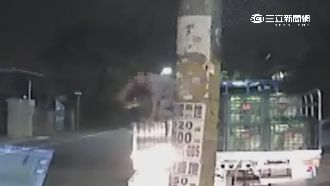 缺錢走歪路！高麗菜販賣「毒」賺外快