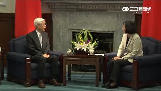 接見WHA代表團　蔡英文：不負所望