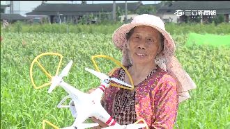 地表最潮阿嬤！拿空拍機趕光田裡麻雀