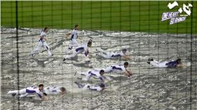 義大犀牛滑水秀（圖／義大犀牛提供）