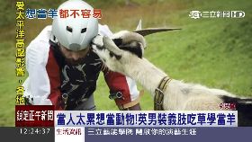 失業當山羊1200