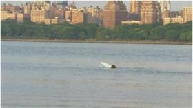 二戰戰機墜機　（圖／翻攝自cbs）