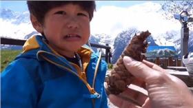 亞歷媽,安德里,松果,大便/美拍