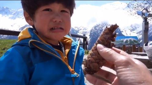 網路萌娃誤把松果當屎　嚇得放聲大叫