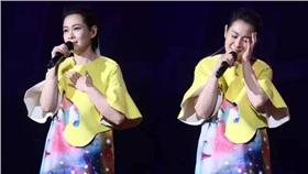 劉若英開演唱會。（圖／翻攝自劉若英 Rene Liu臉書）