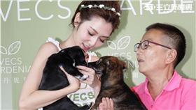 曾莞婷嘉丹妮爾保養品流浪動物活動（鄭先生）