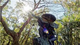 夏天,太陽,sun▲圖／攝影者pang yu liu, flickr CC License 
https://www.flickr.com/photos/pangyuliu/24362728524/in/photostream/