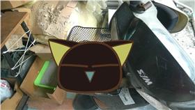 貓咪,姿勢/貓咪也瘋狂俱樂部 CrazyCat club臉書