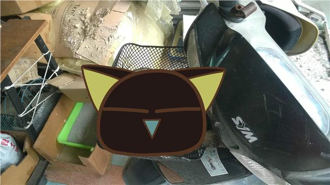 浪浪貓放肆霸占機車籃　四腳朝天大睡