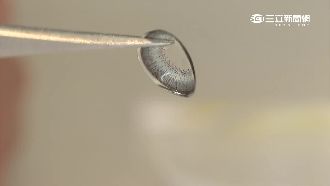 瞳孔放大片只賣1元　放浸泡液就掉色