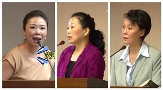 立院新三寶？3藍委瞎問+口誤鬧笑話