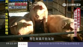 抗美豬！豬農砸金轉型　打造台灣精神