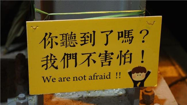 林之晨給蔡總統的一封信