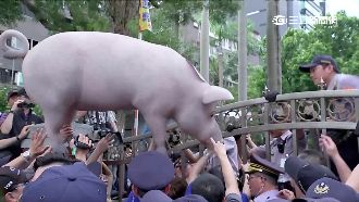 藍營抗議秀！豬農遭起底是議員助理